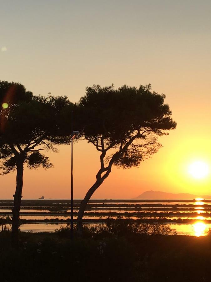 Le Club Des Cigales Daire Hyères Dış mekan fotoğraf