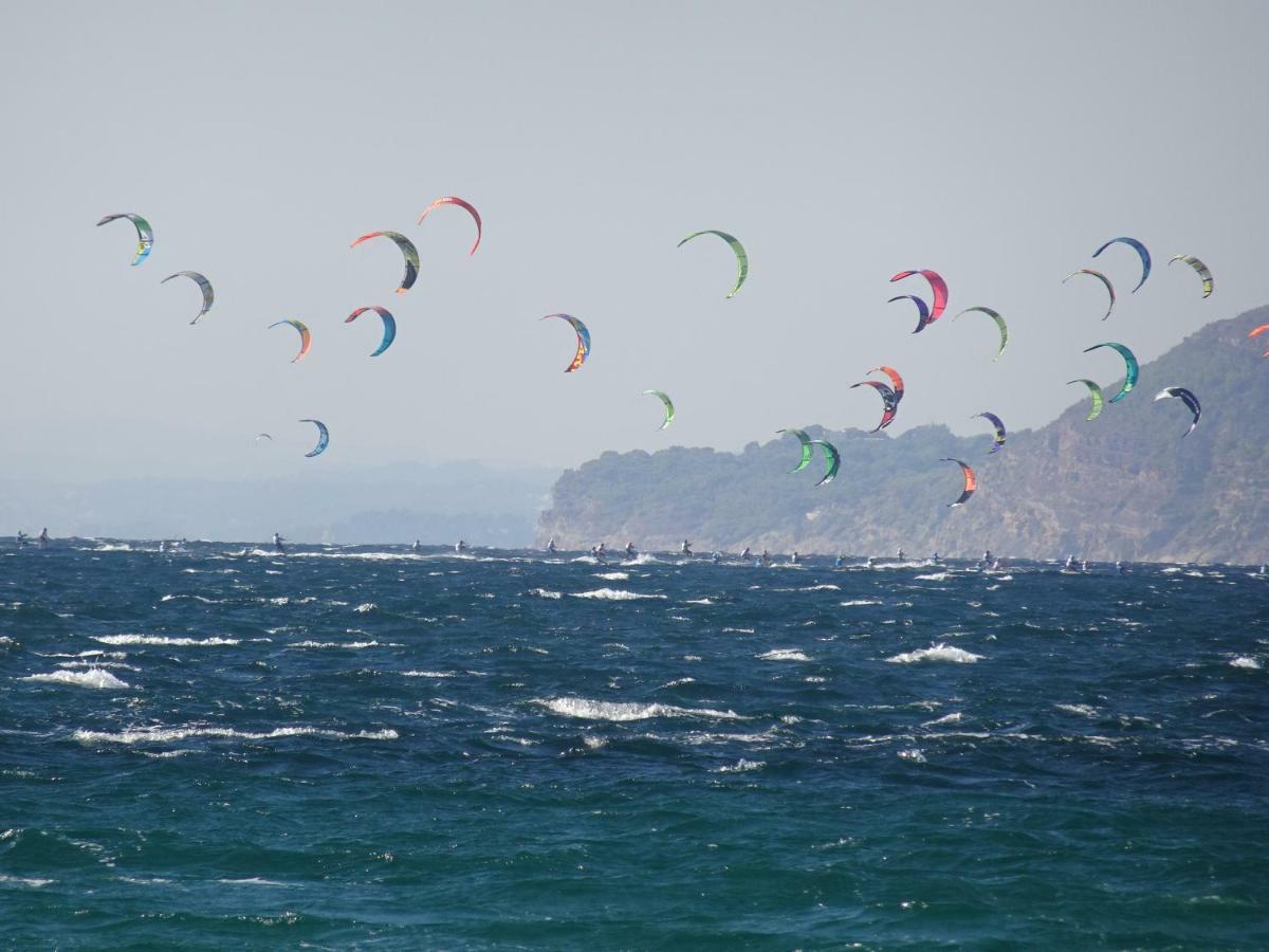 Le Club Des Cigales Daire Hyères Dış mekan fotoğraf